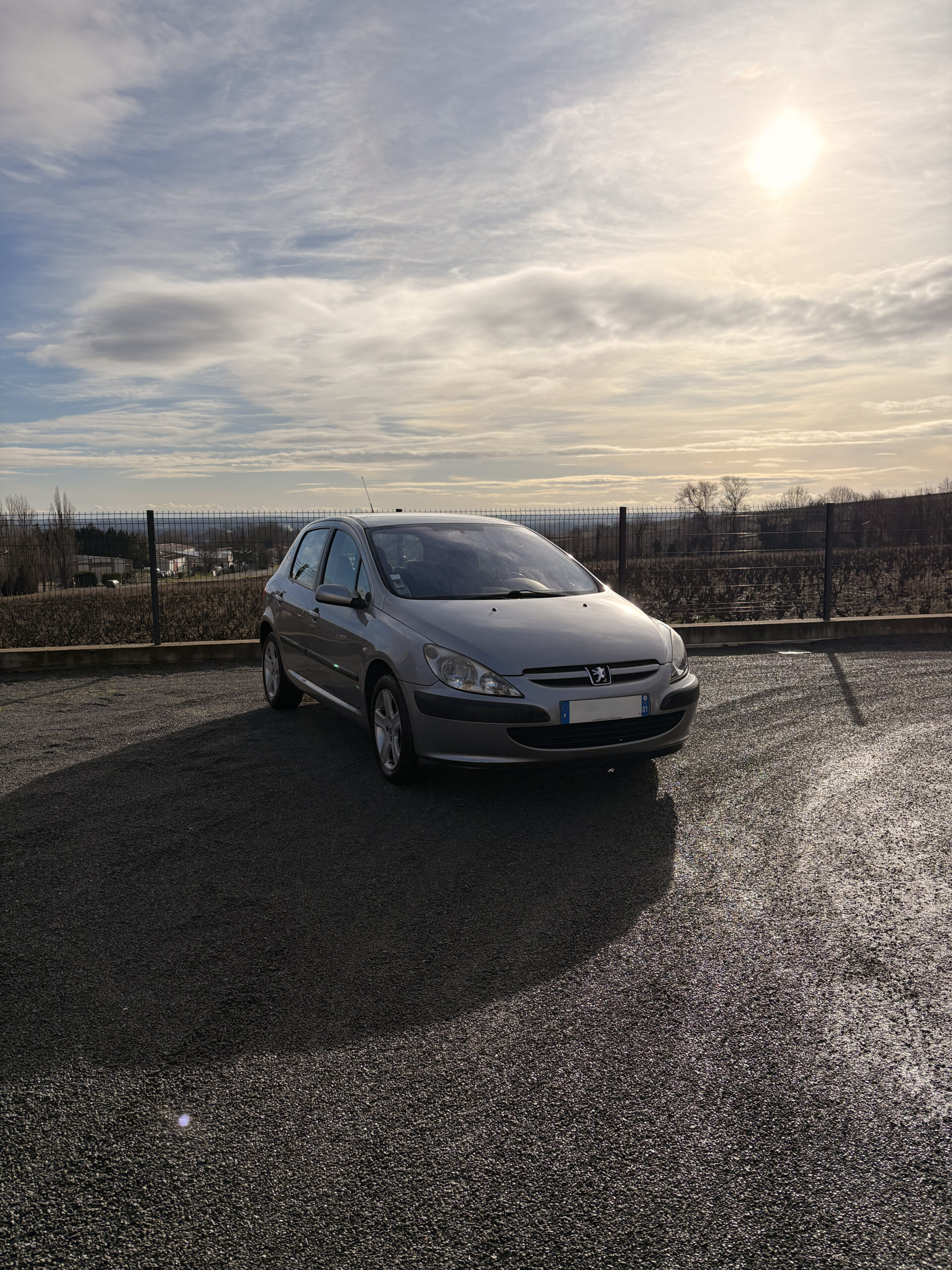 Peugeot 307 Phase 1 1.6 110CV1